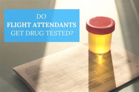 How To Pass A Flight Attendant Drug Test